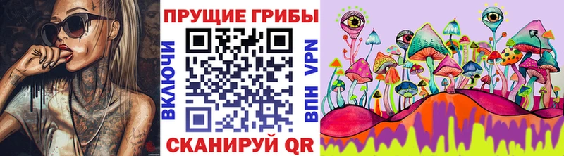 купить  сайты  Калязин  Галлюциногенные грибы Psilocybe 